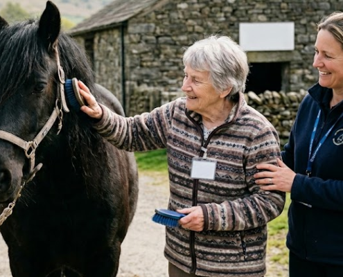 Fell Ponies Dementia Londridge