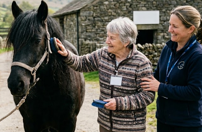 Fell Ponies Dementia Londridge Fell Ponies Dementia Londridge